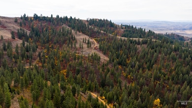 TBD Ranch, Council, ID 83612 - photo 4