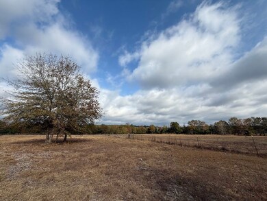 Sc Hwy 39 unit LotWP002, Williston, SC 29853 - photo 6