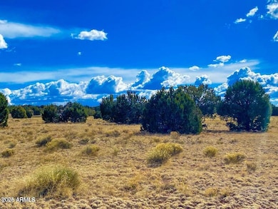 20240321005843743187000000-o (1)