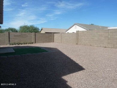 backyard (1)