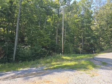 Red Rooster Way Photo use 3