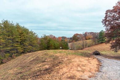 00000 Tweed Rd unit 1, Leicester, NC 28748 - photo 2
