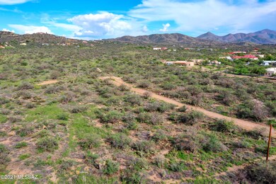 DJI_0564