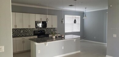 11422 Callaway Pond Dr, Riverview, FL 33579 - photo 7