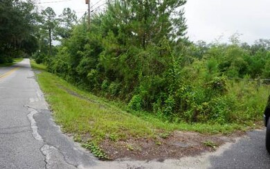 334 NW Battlehill Ln, Lake City, FL 32055 - photo 3