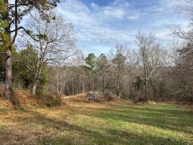 00 Bard Rd, Greenville, KY 42345 - photo 2