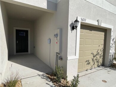 36217 Risa Michele St, Zephyrhills, FL 33541 - photo 2