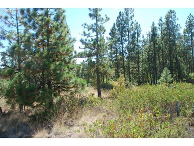 0 Pine Creek Rd unit 3 12336471, Bickleton, WA 99322 - photo 4