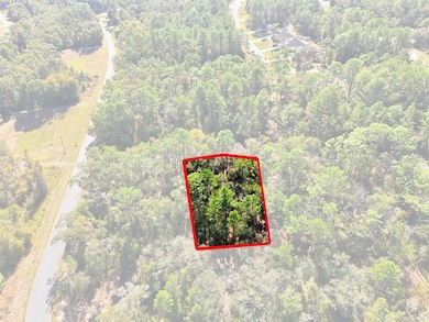2237 W Striblin Dr, Dunnellon, FL 34434 - photo 3