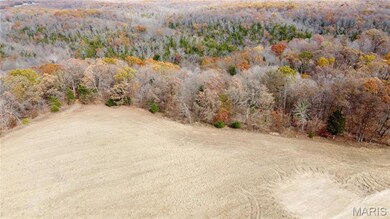 Tract 4 Polston Ln, Hickory Grove Township, MO 63357 - photo 5