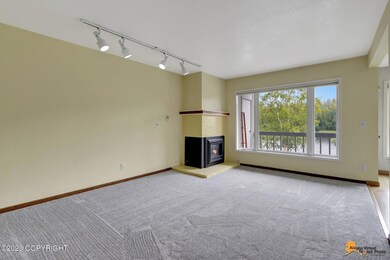 Main Living-New Gas Fireplace