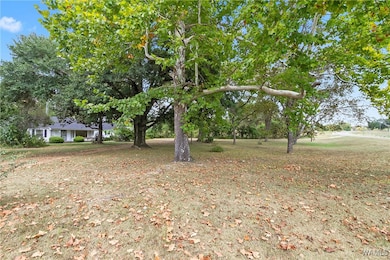 16699 Romulus Rd, Ralph, AL 35480 - photo 5