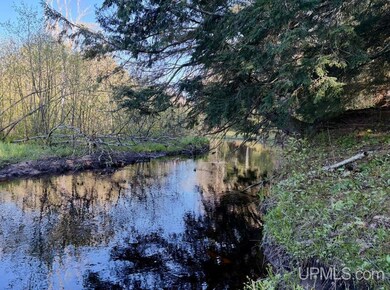 94 +/- Acres Peter White Rd, Deerton, MI 49822 - photo 3