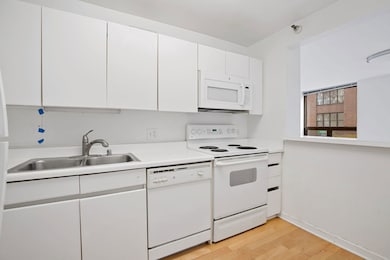440 N Wabash Ave unit 409, Chicago, IL 60611 - photo 7