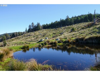 Pond