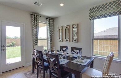 10810 Tansy Canyon, Helotes, TX 78023 - photo 6