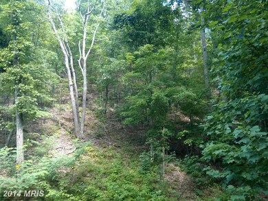 0 Bald Eagle Ln unit 1003177570, Great Cacapon, WV 25422 - photo 3