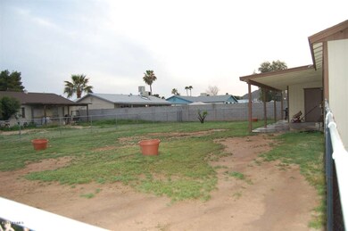 Backyard 2