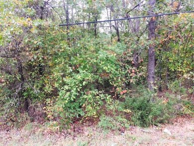 0 Hwy Y unit 17084827, Saint Robert, MO 65584 - photo 2