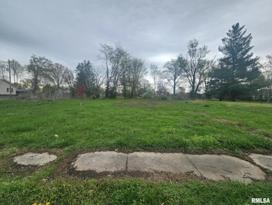 218 Madison St, Benton, IL 62812 - photo 3