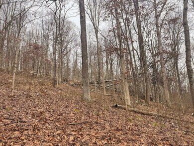 Lot 1 States Fork Rd, Metz, WV 26585 - photo 7