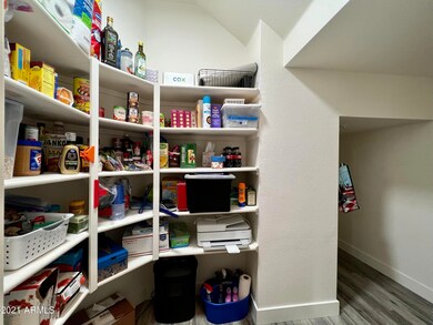 walk in pantry_2