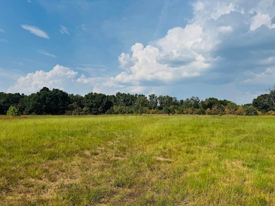 00a Highway M, Stockton, MO 65785 - photo 3