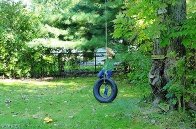 Tire Swing included with purchase (little boy in P