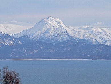 Kachemak Bay View