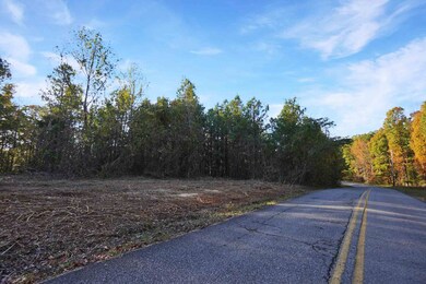 22 Cottrell Ridge Rd, Dover, TN 37058 - photo 2