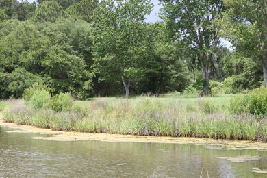 IMG_6659