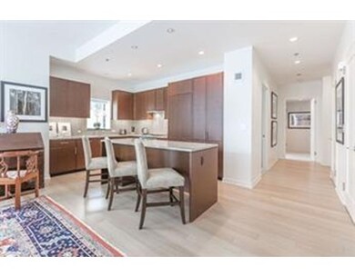 Millenium Place unit 808, Boston, MA 02111 - photo 2