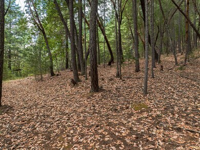 614 Thornbrook Dr, Merlin, OR 97532 - photo 7