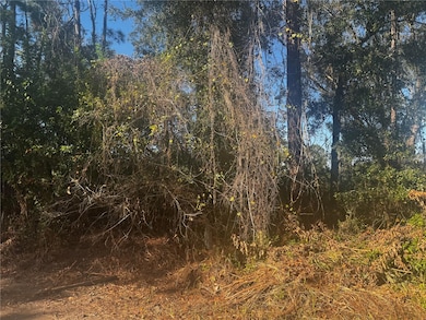 9-20 Anno St, Tampa, FL 33625 - photo 5