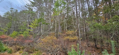 Lot 28 Summit Dr, Eldred, NY 12732 - photo 6