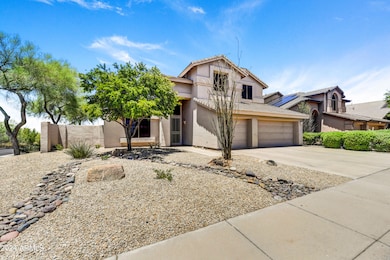Mature Landscaping