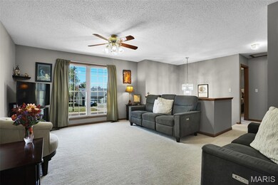 412 Locust St, New Haven, MO 63068 - photo 5