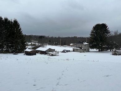 3776 Georgetown Rd, Polk, PA 16342 - photo 5