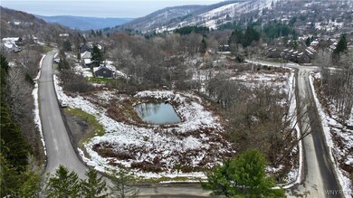 0 Hencoop Hollow Rd unit B1651705, Ellicottville, NY 14731 - photo 7