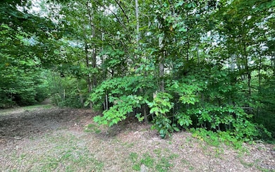 LOT 20 Enchanted Ridge, Hayesville, NC 28904 - photo 4