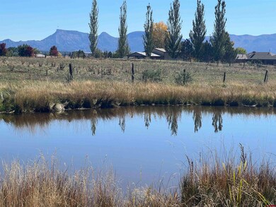 12792 Colorado 145, Dolores, CO 81323 - photo 4