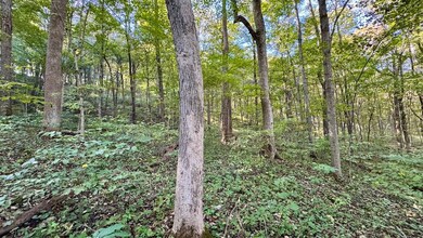 5139 Peggy Hollow Rd, Shoals, IN 47581 - photo 5