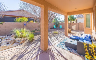 Back yard