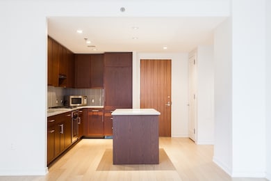 Millenium Place unit 304, Boston, MA 02111 - photo 7