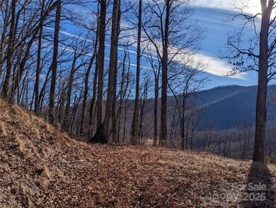 367 Kestrel Ln unit T-85, Black Mountain, NC 28711 - photo 4