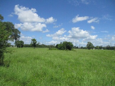 000 Fm 521 Rd, Brazoria, TX 77422 - photo 3