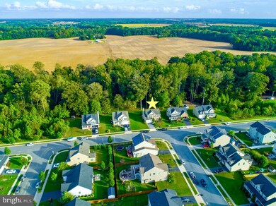 217 N Brook Dr, Centreville, MD 21617 - photo 4