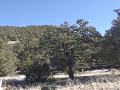 4317 Serene Way, Crestone, CO 81131 - photo 5