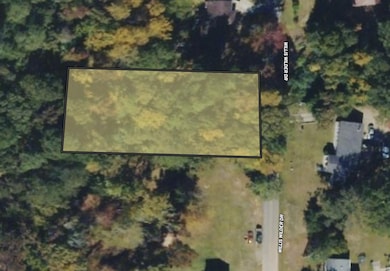 145 Willis Wilder Dr, Forsyth, GA 31029 - photo 3