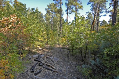 mid lot_5996